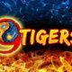 tragamonedas-9-tigers