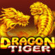 Dragon tiger