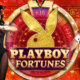 Playboy fortunes
