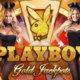 Playboy gold jackpots