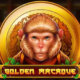 Golden macaque