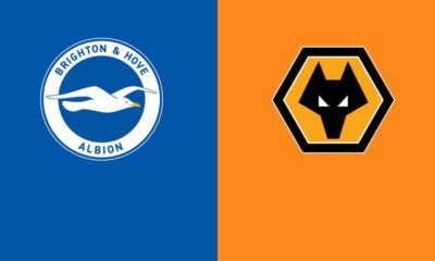 Apuestas Brighton vs Wolves: Pronóstico y cuotas 15-12-2021