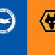 Apuestas Brighton vs Wolves: Pronóstico y cuotas 15-12-2021