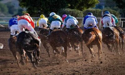¿Como saber que caballo ganará en una carrera?